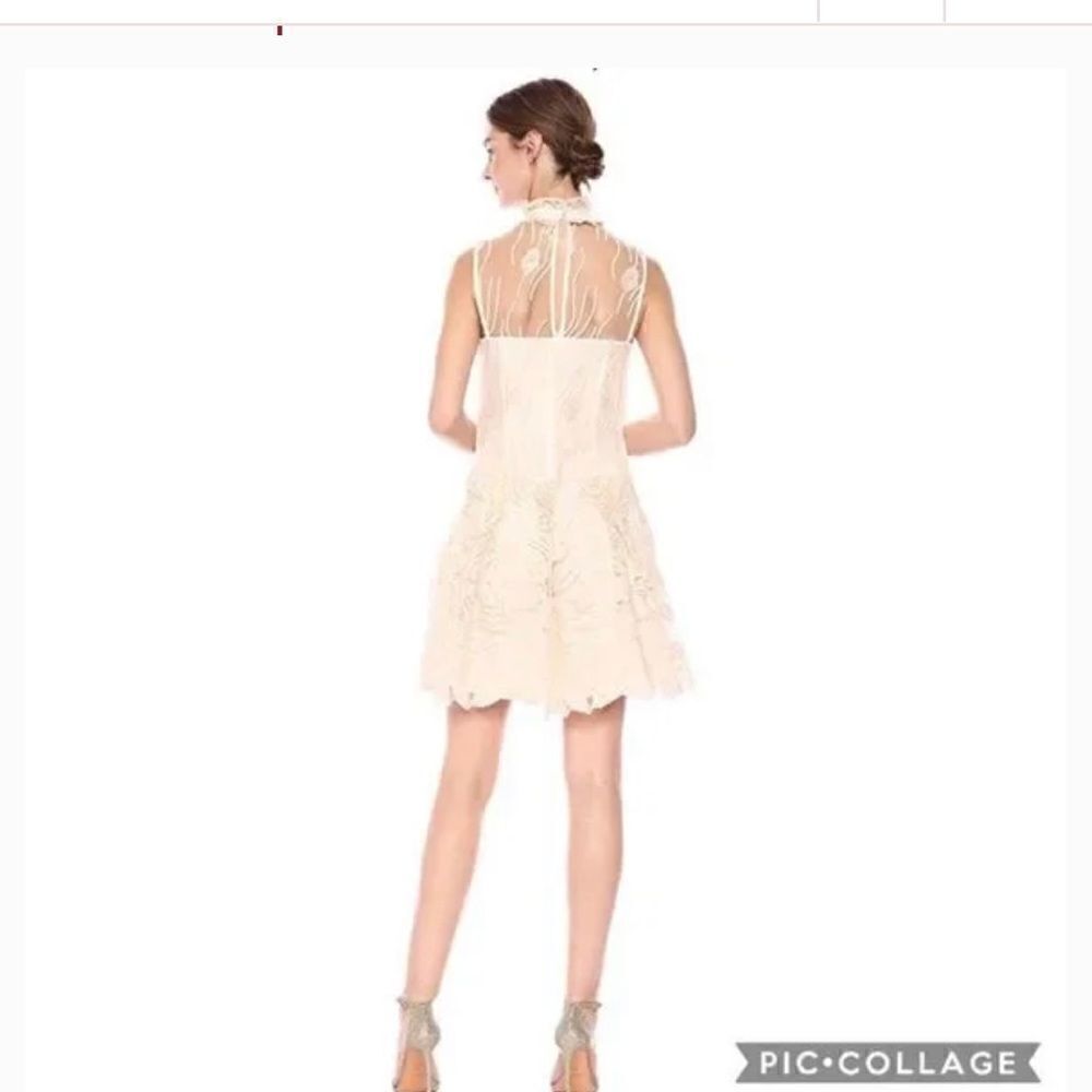 Nanette Lepore Bella Donna embroidery illusion neckline Balletcore minidress - Picture 3 of 16